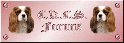 C.K.C.S. Forums - England
