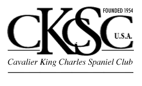 Amerika's Cavalier King Charles Spaniel Club