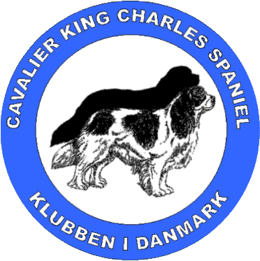 Danmarks Cavalier King Charles Spaniel Klubb
