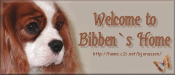 Bibben's Home