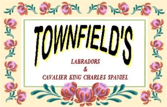 Townfields Kennel