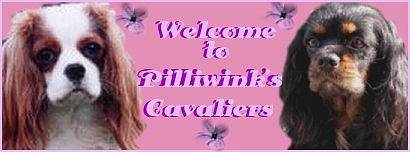 Pilliwink's Cavaliers